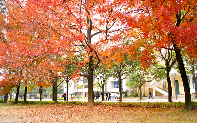 福州大学风景